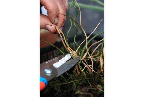 Teich frühlingsfit machen