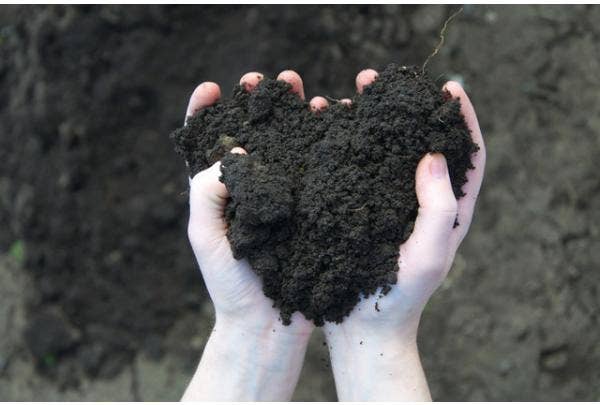 Organischer Dünger aus natürlichen Rohstoffen