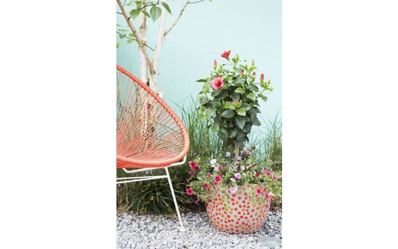 Blumenerde