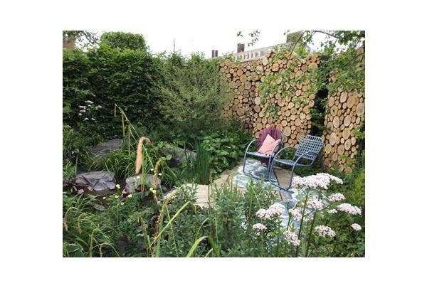 Natürlicher nachhaltiger Garten - Tipps für die Biodiversität