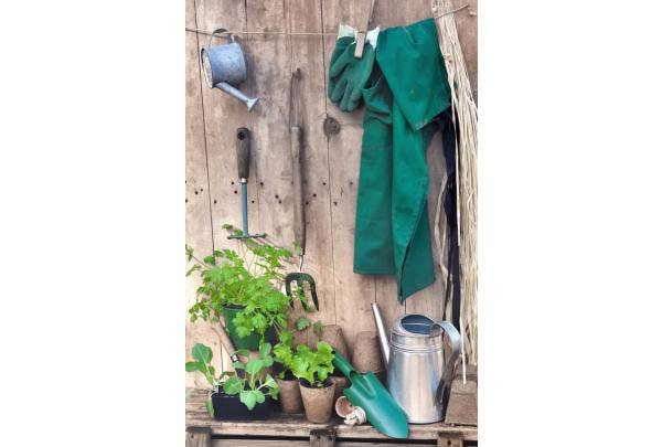 Gartenkalender April