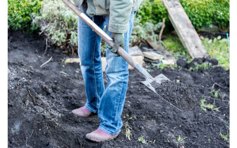 Düngemittel für den Garten - wann und welches wählen