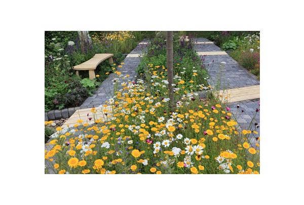 Natürliche Wildgarten