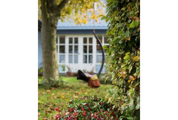 Gartenkalender November