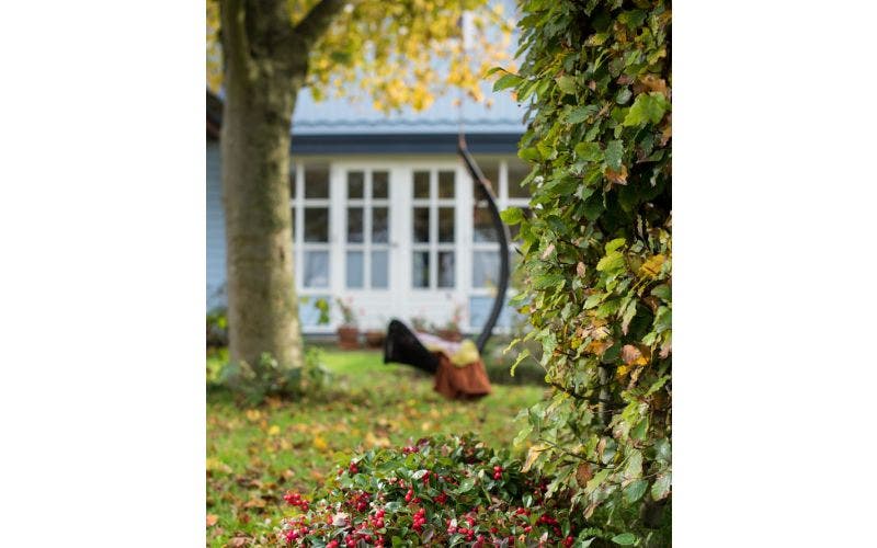 Gartenkalender November