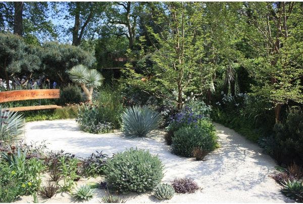 Trockenheit im Garten