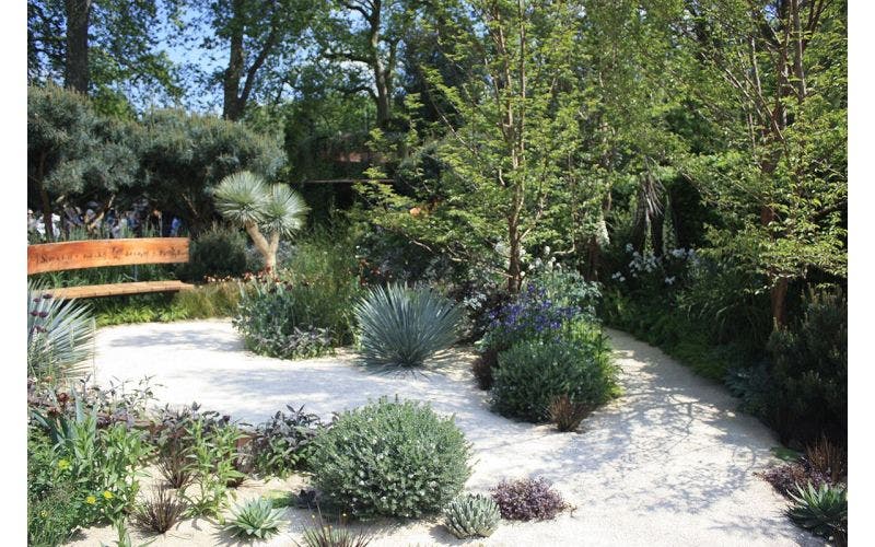 Trockenheit im Garten