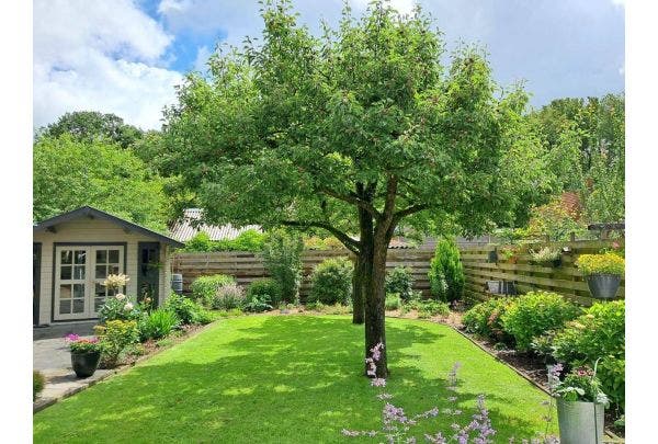 Sommergarten Inspiration