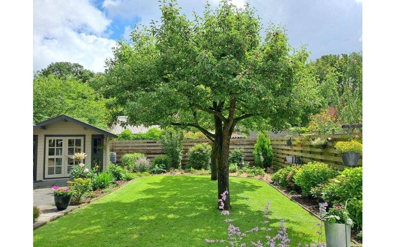 Sommergarten Inspiration