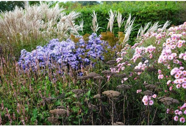 Gartenkalender Oktober