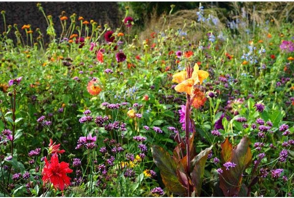 Schöne Spätsommerbeete