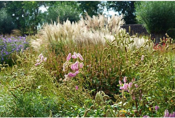 Gartenkalender September