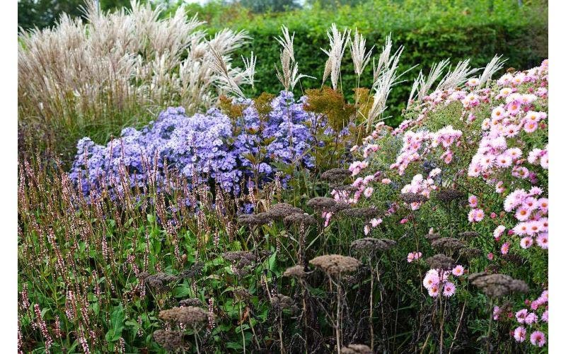 Gartenkalender Oktober