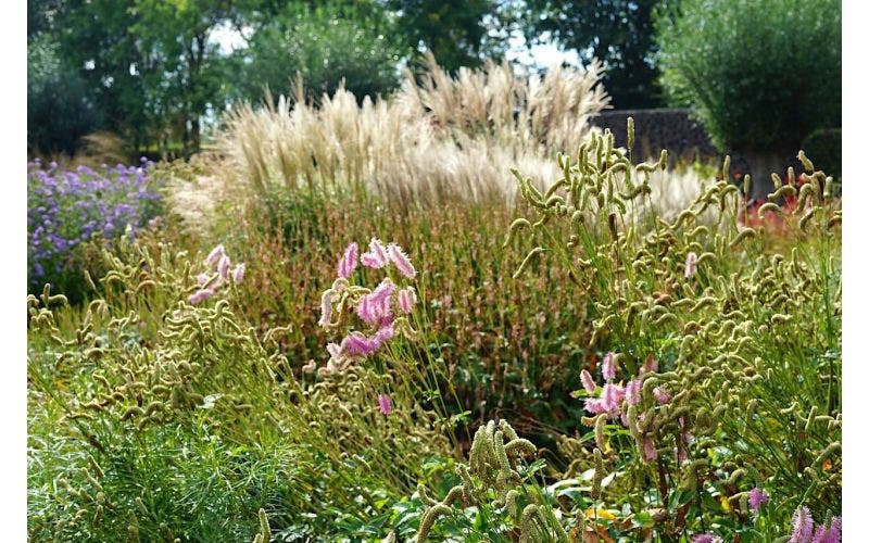 Gartenkalender September