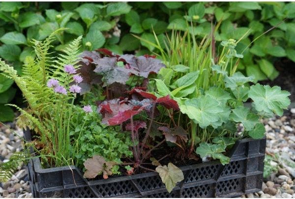 Wir liefern ohne Verpackungsmaterial!