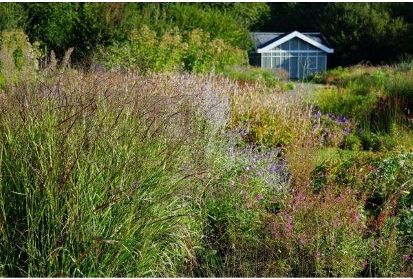 Gartenbesuch Schmetterlingsgarten im Herbst