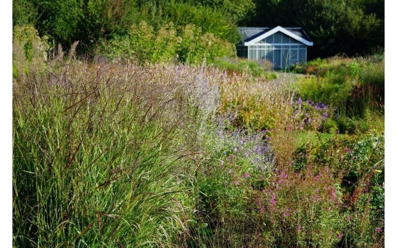 Gartenbesuch Schmetterlingsgarten im Herbst