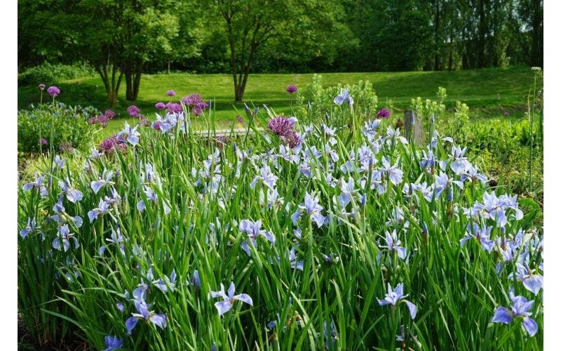 Gartenbesuch: Der Schmetterlingsgarten im Frühling