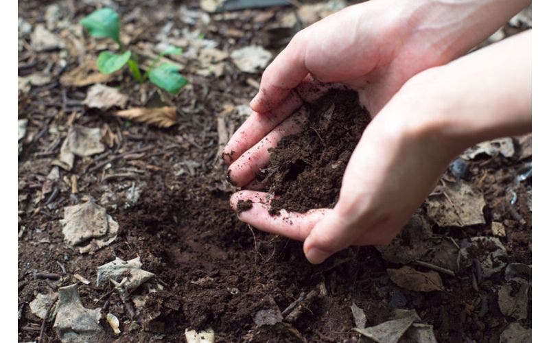 Garten Erde - Verwendungsmöglichkeiten
