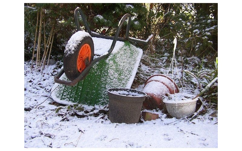 Gartenkalender Januar