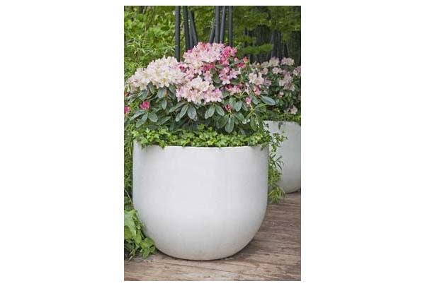 Gärtnern in Töpfen