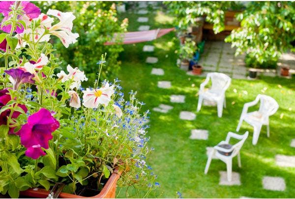 Gartenkalender August