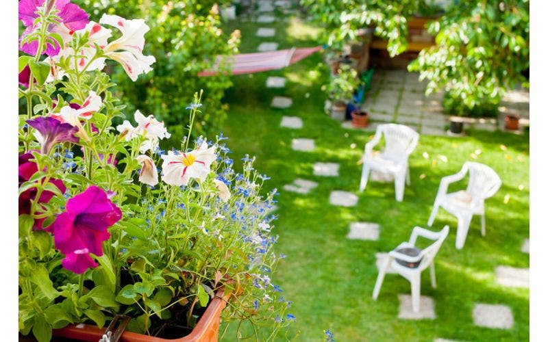 Gartenkalender August
