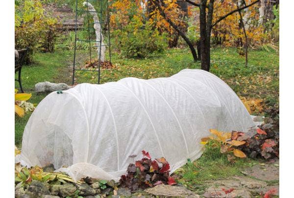 Winterschutz für Pflanzen