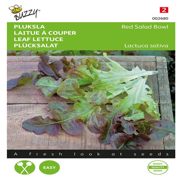 Pluksla Red Salad Bowl, Roter Eichblatt