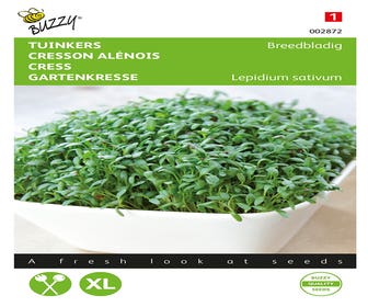 Kresse Großblättrige