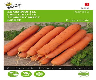 Sommerkarotte Nantes 2, halblang