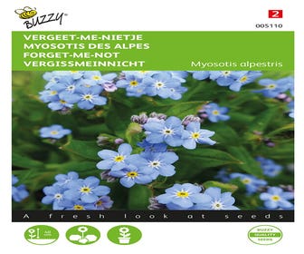 Vergissmeinnicht (Myosotis alpestris 'blauw')