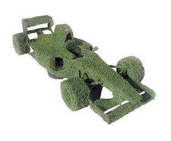 Formula 1 (Ligustrum delavayanum)