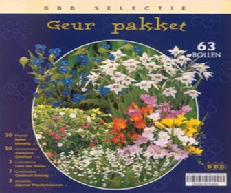 - (Selektion Duftpaket)