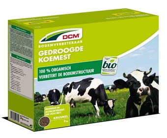 Kuhdung getrocknet