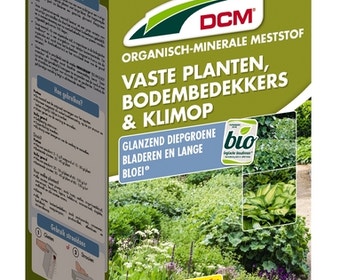 Stauden und Bodendecker Dünger