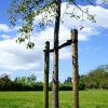 Baumstützenset 250cm Länge (2 Stützen inkl. Band und Nägel!)