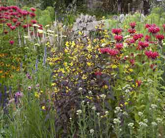 Beetpaket Rot und Gelb (6 M²)