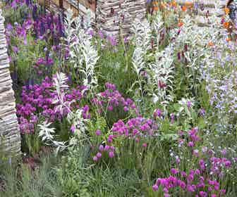 Beetpaket Rosa, Lila und Graugrün (2 M²)