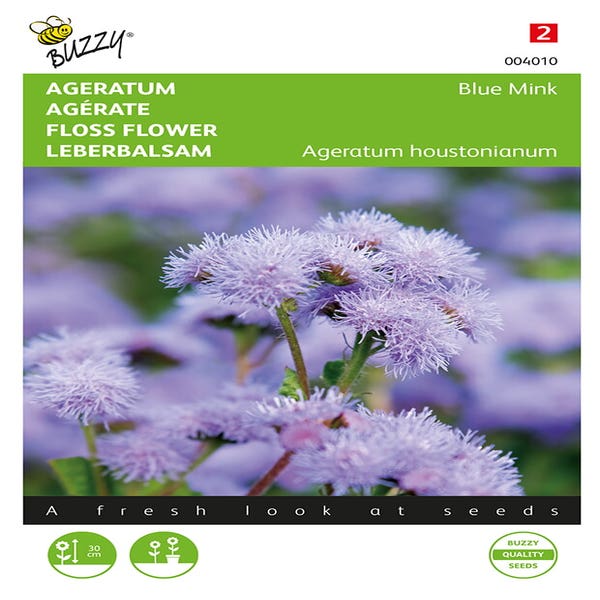 Leberbalsam (Ageratum houstonianum 'Blue Mink')