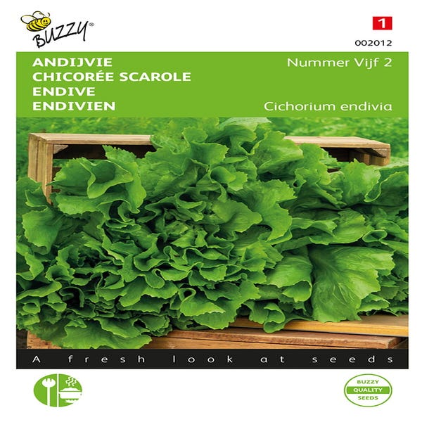 Endivien Nummer Fünf 2