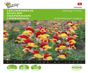 Löwenmaul (Antirrhinum majus 'Mango Twist')