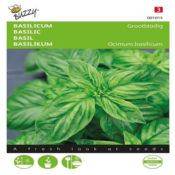 Basilikum Großblättrig