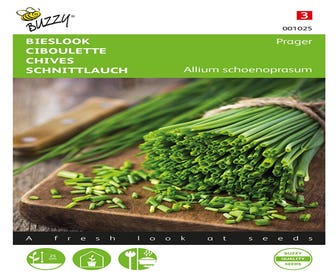 Schnittlauch Fein