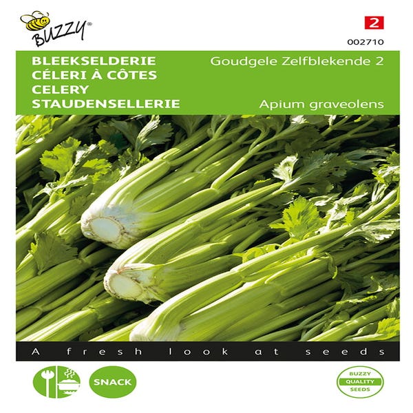 Bleichsellerie Goldgelbe Selbstbleichende 2