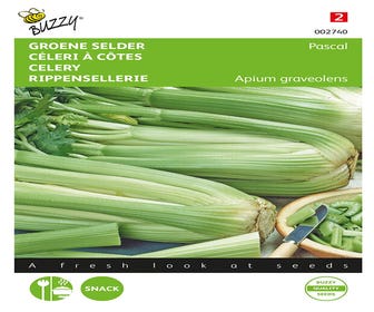 Bleichsellerie Pascal, Grüne Vollrohr