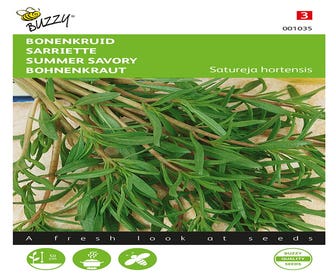 Bohnenkraut einjährig