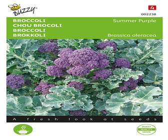 Brokkoli Summer Purple
