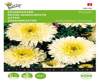 Sommeraster Prinzessin (Callistephus chinensis 'goudgeel')