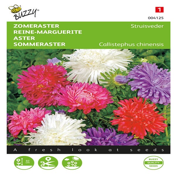 Callistephus, Sommeraster Straußenfeder gemischt